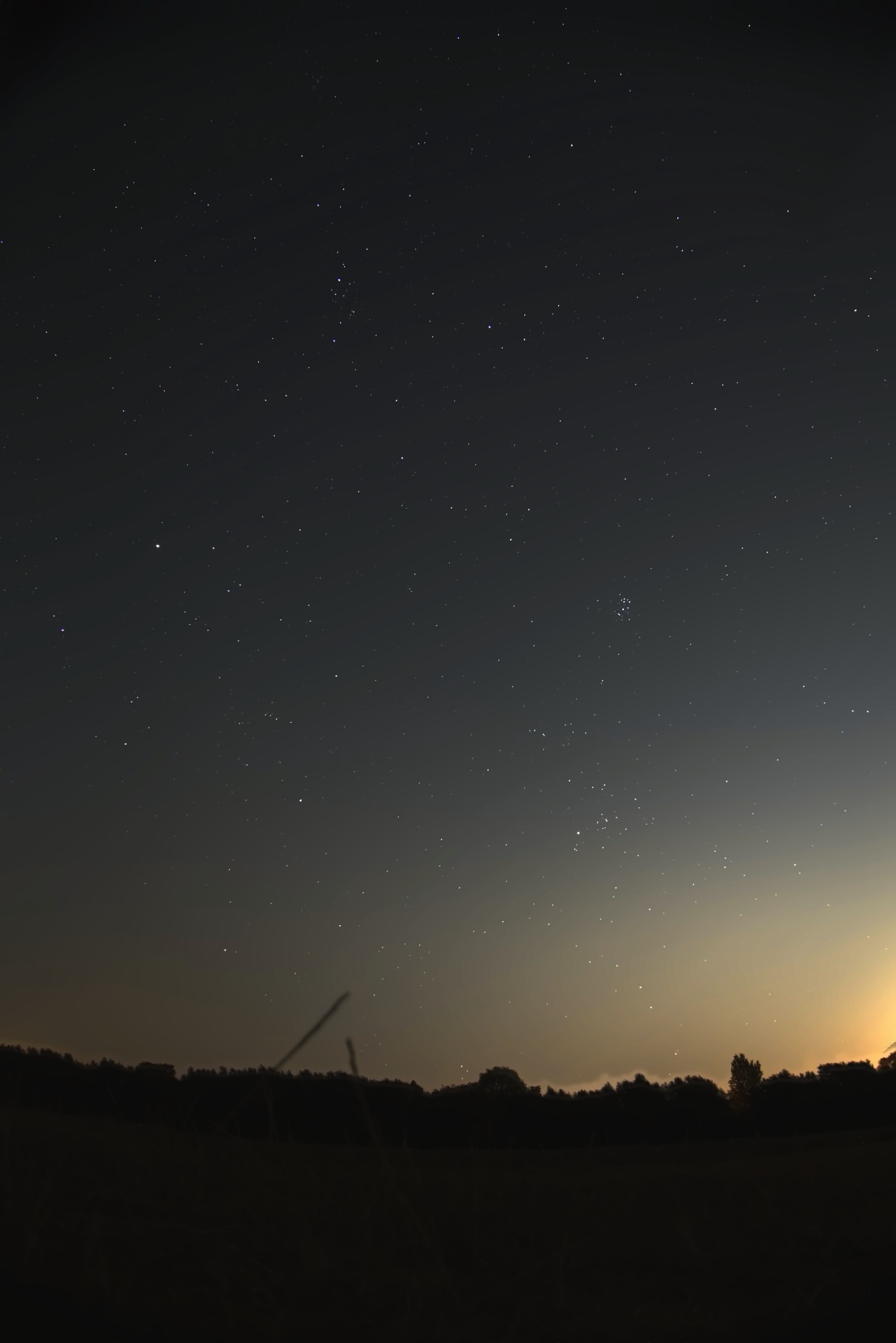 Portrait night landscape: a dark meadow and treeline under a deep star field, with Oxford's orange light pollution glowing along the horizon