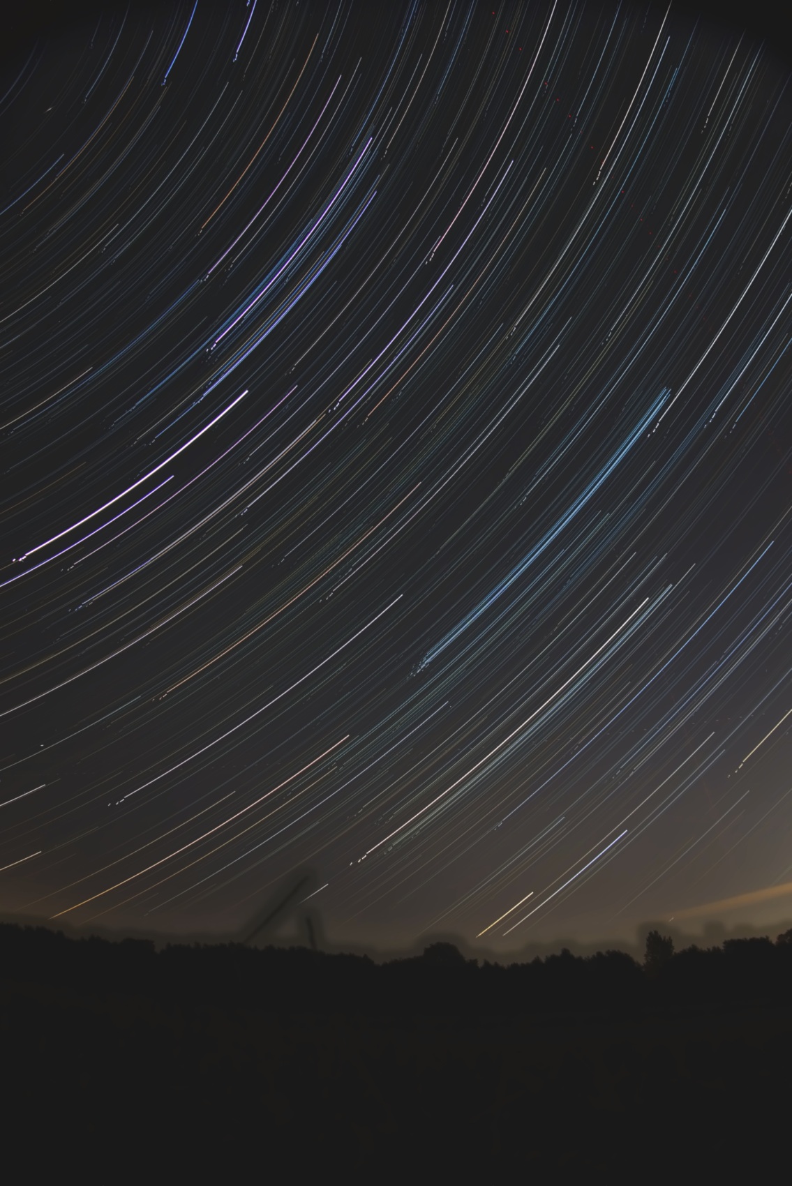 Star trails: long concentric arcs sweeping across the sky above a dark meadow and treeline
