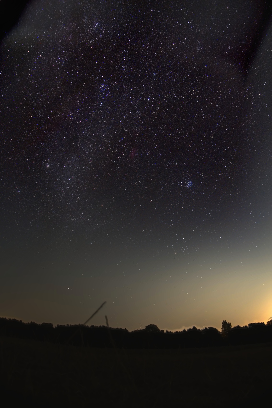 The same meadow scene processed to bring out the stars: a dense star field fills the upper sky, fading into the glowing horizon
